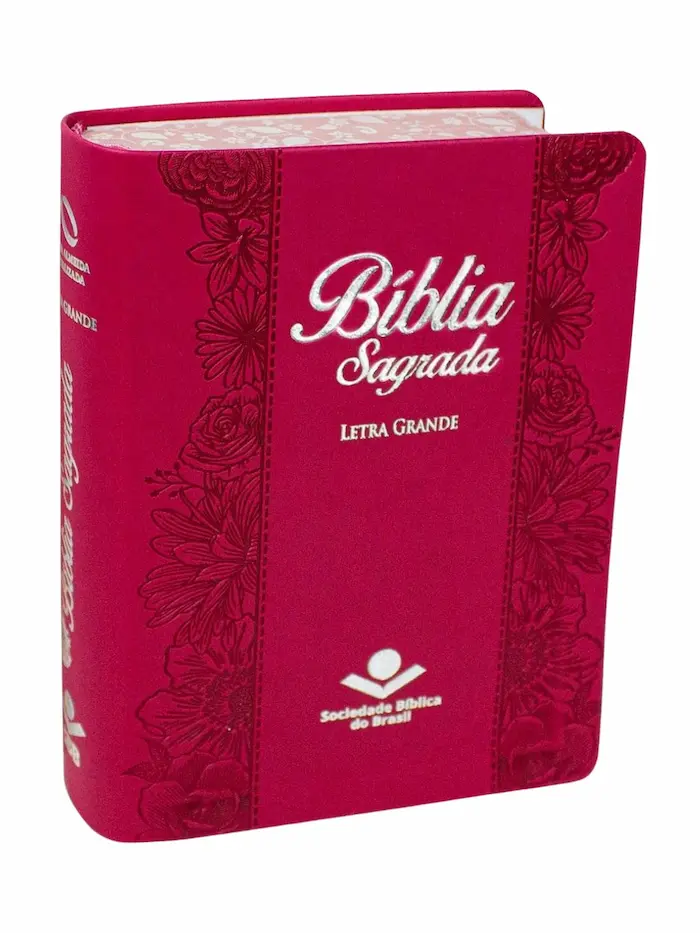 Bíblia Sagrada NAA